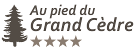 Au pied du Grand Cèdre